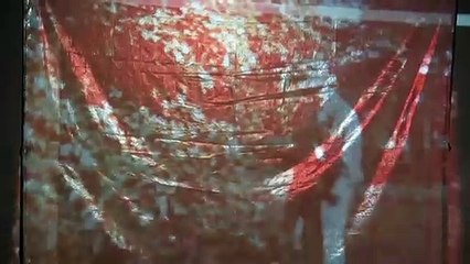 Fairy Light: Inside the Cottingley Fairies exhibition at Leeds Central Library