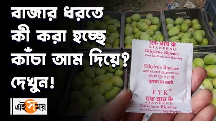 বাজার ধরতে কী করা হচ্ছে কাঁচা আম দিয়ে? দেখুন