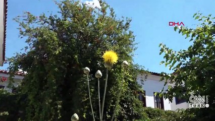 Tülüşahı koparmanın cezası 73 bin lira