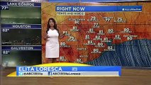 Elita Loresca on ABC 13 Houston (08/06/2021)