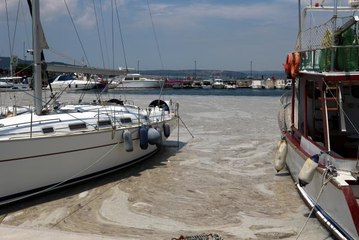 Çanakkale merkezindeki marina müsilajdan temizleniyor