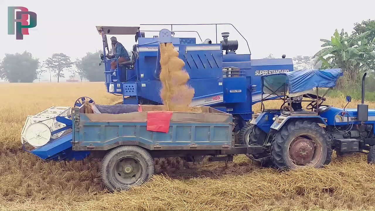 Harvesting Machine Cutting The Paddy In Rular Village - Paddy Harvesting Machine || RoadPlan