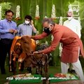 PETA Targets Indian Culture, Yet Again