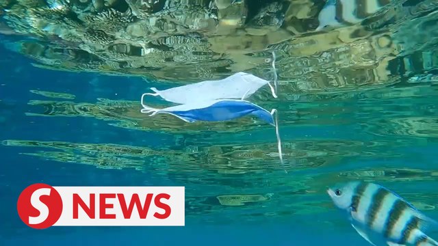 World Oceans Day: Unmask the oceans