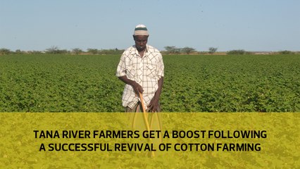 Tanariver farmers get a boost following a successful revival of cotton farming