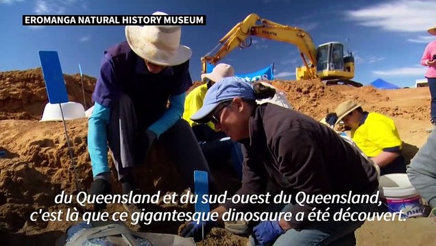 Le plus grand dinosaure découvert en Australie identifié comme une nouvelle espèce