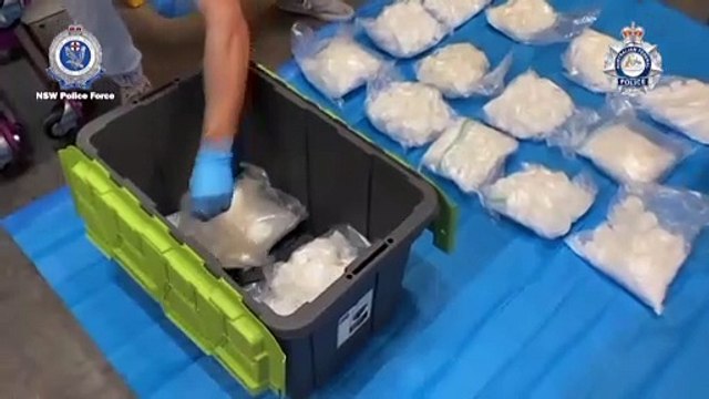 Троянский щит : международная операция полицейских