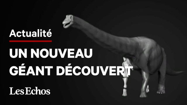 Une nouvelle espèce de dinosaure géant découverte en Australie