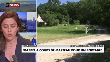 Seine-et-Marne : une femme de 58 ans agressée à coups de marteau