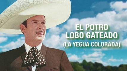 Antonio Aguilar - El Potro Lobo Gateado (La Yegua Colorada)