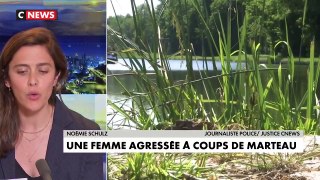 Seine-et-Marne : Un détenu de la prison de Melun, en permission de sortie, agresse violemment une promeneuse à coups de marteau