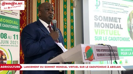 Lancement du Sommet mondial virtuel sur le caoutchouc à Abidjan
