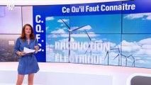 Faut-il en finir avec les éoliennes ? - 01/06