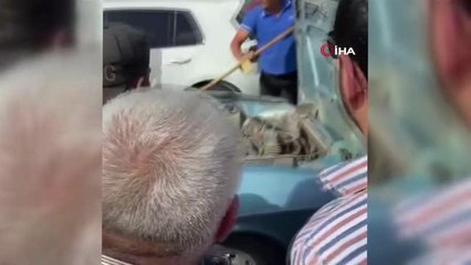 Otomobile giren yılanı vatandaşlar çıkardı