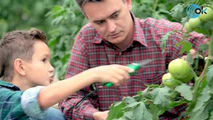 Entrevista con Fermín Bohórquez, presidente Alianza Rural