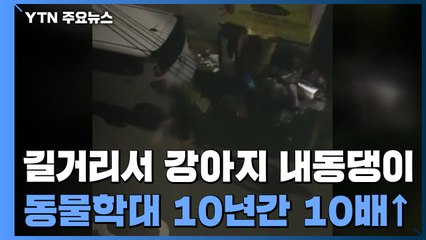 [제보는Y] 길거리서 강아지 '내동댕이'...동물학대 10년간 10배↑ / YTN