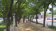 [날씨] 오늘 맑고 한낮 초여름 더위...서울 29℃ / YTN