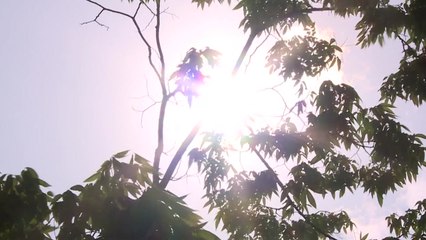 [날씨] 맑고 초여름 더위, 서울 29℃...자외선 강해 / YTN