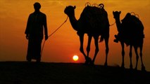 Explore the Qatari Desert With Moonlit Camel Rides, Glamping, and Stargazing