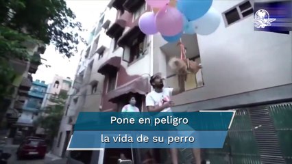 Youtuber hace volar a su perro y es arrestado por crueldad animal