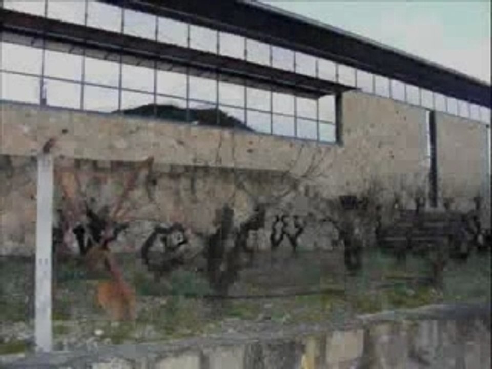 "Cave de Labastide de Levis"