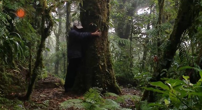 mqn-especial-2-naturaleza-sanadora-010621