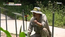 [LIVING] Beginner farmers' challenge to return to farming., 생방송 오늘 아침 210602