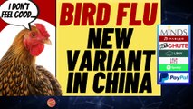 NEW BIRD FLU From China? Should We Be Worried,  Who knows!