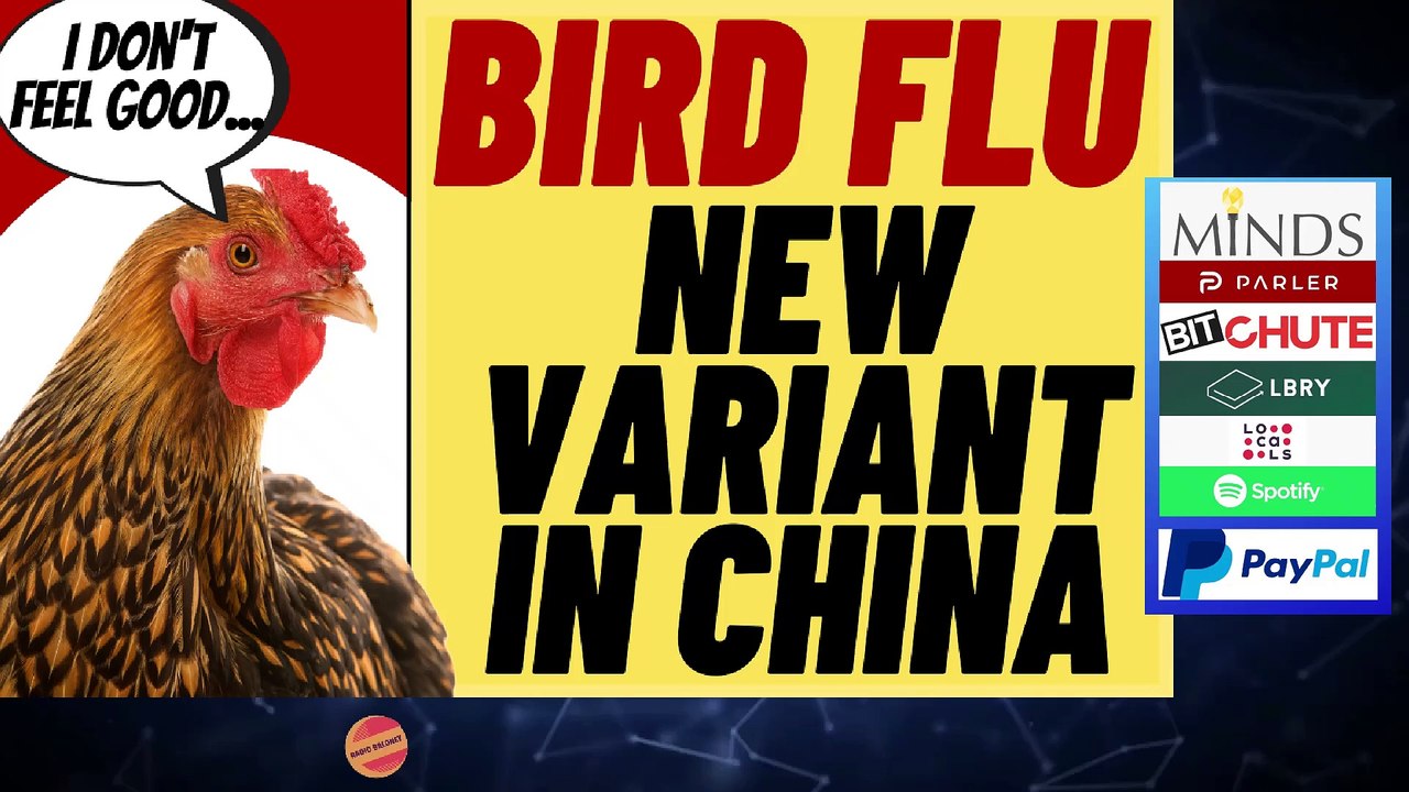 NEW BIRD FLU From China? Should We Be Worried,  Who knows!