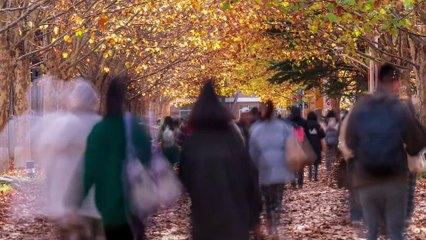 通学路　by宝田章吾