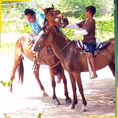 Fasten your seat belt for a fail ride