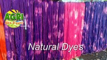 “NATURAL DYES” Ep.56 AGRI Ako D’yan