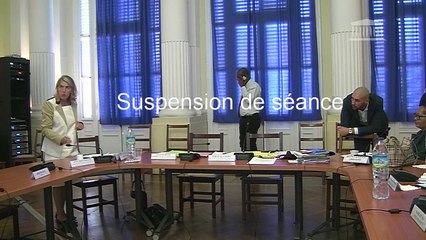 Impact du chlordécone et du paraquat : auditions en Martinique (suite) - Lundi 16 septembre 2019