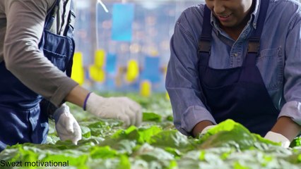 Most Realistic way to success in life - Motivational video