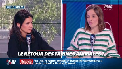 Dupin Quotidien : Le retour des farines animales ? - 02/06