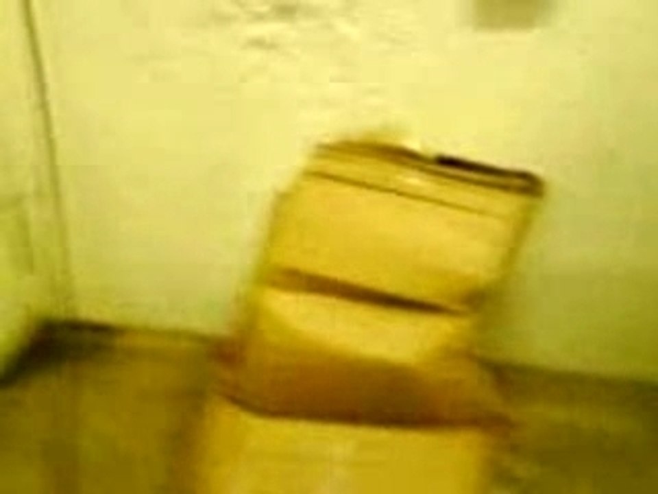 moi et david au boulot sa fé sa mdr