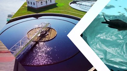 Sostenibilità degli oceani ed economia alleate: il progetto di Ocean Panel