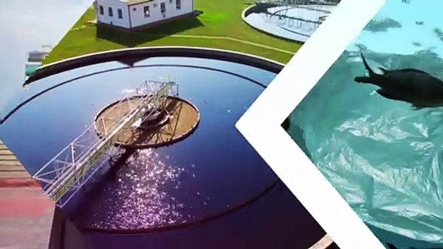 Океан может дать намного больше, если правильно использовать его ресурсы