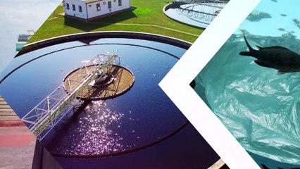 Comment mêler protection des océans et développement économique