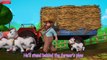 Playing with Farm Animals - Pretend Play _ Rhymes & Baby Songs