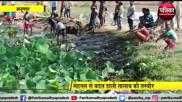 ANUPUR: मेहनत से बदल डाली तालाब की तस्वीर