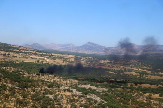 DİYARBAKIR'DA 115 AYRI NOKTAYA NARKO-TERÖR OPERASYONU; 2,5 MİLYON KÖK KENEVİR İMHA EDİLDİ