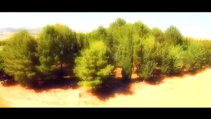 Daniela Montalbano - Non tornero' con te  -