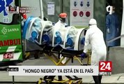 En lo que va de año 15 pacientes infectados con el hongo negro en Perú han fallecido