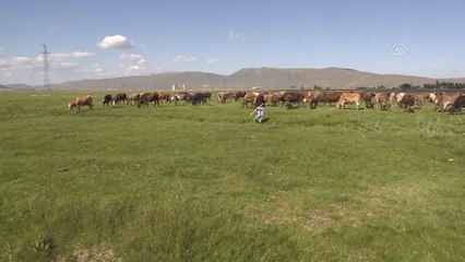 Devlet, özel sektör ve üretici el ele vererek süte değer kattı