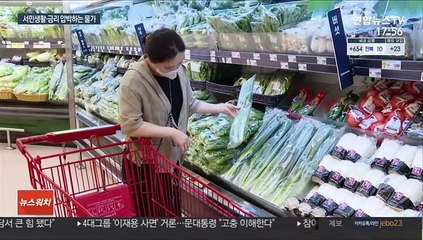 석유류·먹거리 고공행진…물가 9년여 만에 최대 상승