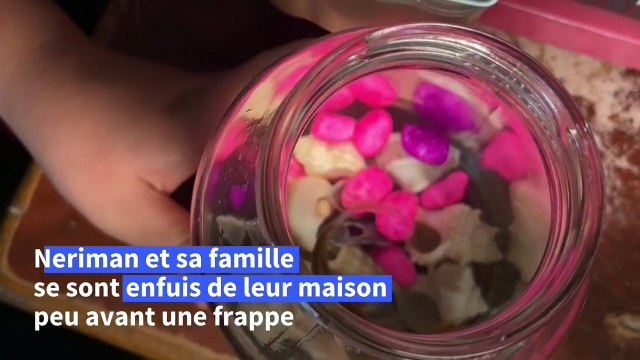 Animaux tués ou traumatisés: à Gaza, un choc de plus pour les amis des bêtes