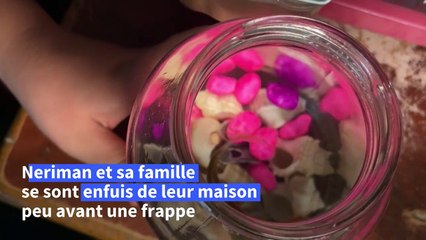 Animaux tués ou traumatisés: à Gaza, un choc de plus pour les amis des bêtes