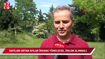 Prof. Dr. Başkaya: Sayıları artan ayılar insana yönelecek, önlem alınmalı