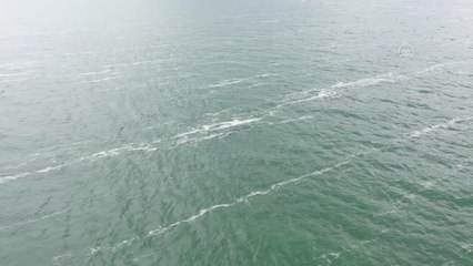 Deniz salyası Anadolu Yakası'nda bazı bölgelerde görülmeye devam ediyor